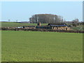 Farm buildings near Burton in LE12 8HT
