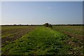 Track to Chalk Farm, Isleham in CB7 5RE
