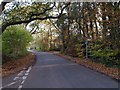 The road to Moreton in DT2 8RF
