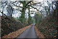 Narrow Lane heading towards Newhouse Farm in ST21 6QA