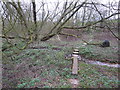 Stepping stones and railway sleeper foot-bridge in S21 3UB