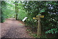 Footpath junction, Rake Hanger in GU33 7PG