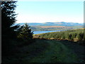 Forestry Road above Rhu in G84 8LP