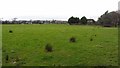 Field, Meadowhead in EH55 8HY