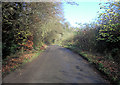 A pheasant wooded lane in RG8 7PN