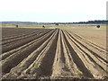Deep Furrows in IP28 6PZ