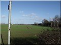 Footpath across Crop Field, off Ormby Road in Burgh le Marsh
