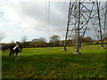 Mannington, power lines in BH21 7JX