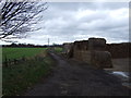 Farm track off the A167 in DL7 9EP