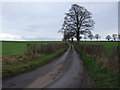 Back Lane towards Maunby in Newby Wiske