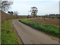 Well Hall Lane, Ashwicken near King's Lynn in Gayton & Grimston Ward