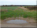 Grass track off Broad Drove, Grimston, Norfolk in PE32 1BG