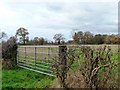 Field gate, Middlewich Road in WA16 9ER
