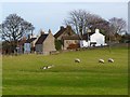 Pasture and houses, Skeeby in DL10 5DS