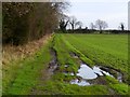 Track and farmland, Brompton-on-Swale in DL10 7HD