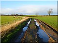 Track and farmland, Croft-on-Tees in DL2 2TJ