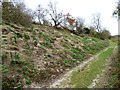 Rabbity bank on Coombe Lane in Burpham