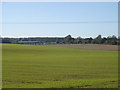 Farmland west of Edmondsham in BH21 5NZ