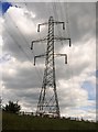 Pylon by the M25 / M11 Junction in Theydon Garnon