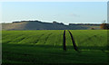 2011 : Track through a field of winter wheat in SN8 3BL