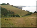 Coast path above Carswell Cove in PL8 1HL