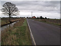 Approaching Eastville along Fodder Dike  Bank in PE22 8JB