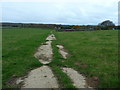 Farm track and footpath to Pollingfold Farm in RH12 3AT