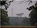 Microwave Dish, Darnhall in CW7 4DY
