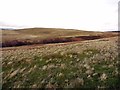 North-west side of Landshot Hill towards Landshot Burn in Northumberland