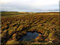 Small pond near cairn on Landshot Hill in Northumberland