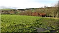 Farmland near Biggar in ML12 6LX