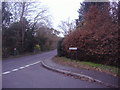 Junction of Ockham Lane and Ockham Road North in GU23 6NR