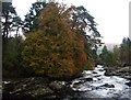 Autumn, Falls of Dochart in FK21 8UP