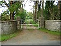 Gates leading to Gwenallt in CH8 8LY