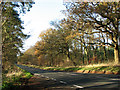 The B1107 road from Thetford to Brandon in IP27 0TG