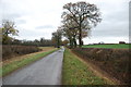 A Country lane with very neat hedges in CV9 2HT