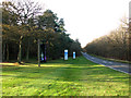 The B1107 road past the entrance to High Lodge, Thetford Forest in IP27 0TE