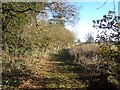 Footpath Near Shenstone Court in WS14 0LF