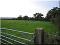 Field gate and the Welsh Hills in CH4 9NN