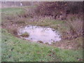 Small pond on Saffron Green in WD6 5PE