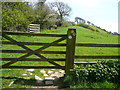 Footpath towards Gerrard's Hill in DT8 3JN