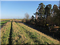 Bridleway along Ouse Washes in PE14 9RL
