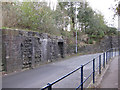 Wern Terrace viaduct remains in SA1 8DE