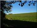 Field at Wastor in TQ7 4PS