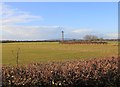 Fields WSW of Bretforton Road in WR11 7HW