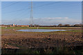 Pond on West of Waterlooville housing development site in PO7 3EQ