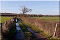 Track and footpath going to Cutlers Farm in PO7 3DR