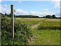 Field path near Pott's Farm, Hadleigh Heath in IP7 5PB