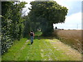 Walking towards Rand's Farm, near Hadleigh in IP7 5RW