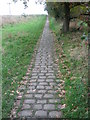 Nuttall Brow Cobblestones in BL9 5NS